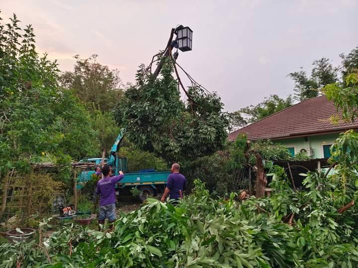 ลงพื้นที่สำรวจความเสียหายและช่วยเหลือในการตัดกิ่งไม้ที่หักโค่น จำนวนหลายจุด